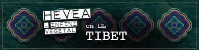 HÉVÉA en El Tíbet